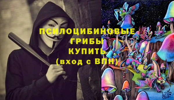 меф Алексин