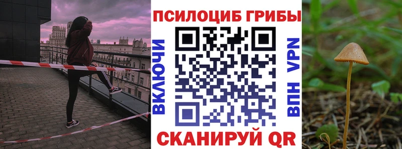 сколько стоит  Адыгейск  Псилоцибиновые грибы Magic Shrooms 